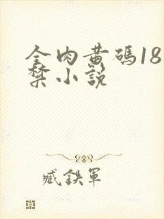 全肉黄码18无禁小说封面