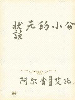 状元的小公主小说