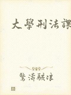 大学刑法课
