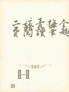 二嫁青梅全文免费阅读笔趣阁封面