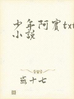 少年阿宾txt小说
