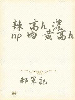 辣 高h 浓 np 肉 黄高h