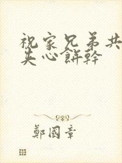 祝家兄弟共享后夹心饼干