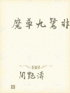 魔尊九鹭非香封面