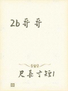 2b哥哥