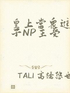 皇上当众进入太子NP主受
