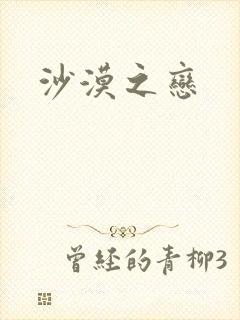 沙漠之恋封面