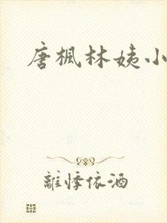 唐枫林姨小说