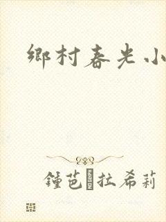 乡村春光小说