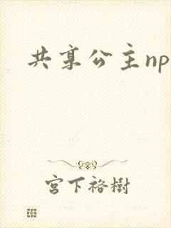 共享公主npc