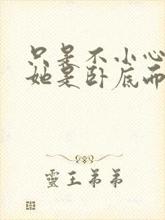 只是不小心发现她是卧底而已封面