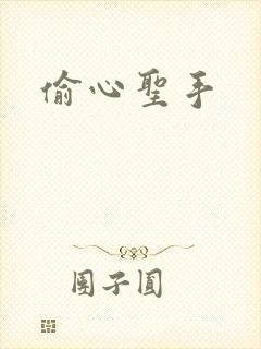 偷心圣手