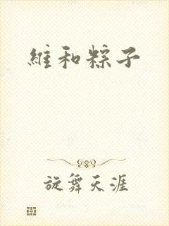 维和粽子封面
