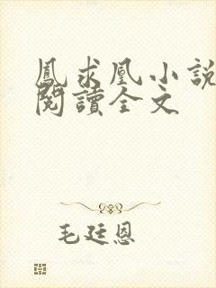 凤求凰小说免费阅读全文封面
