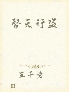 替天行盗