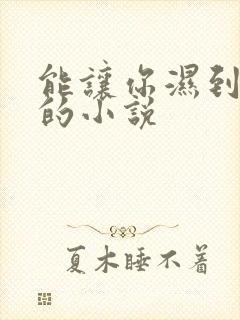 能让你湿到不行的小说