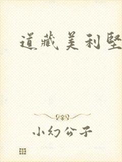 道藏美利坚