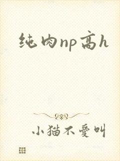 纯肉np高h