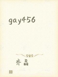 gay456封面
