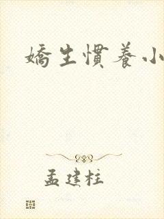 娇生惯养小说封面