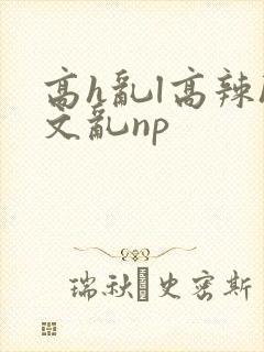 高h乱l高辣h文乱np