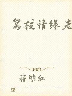 驾校情缘老赵