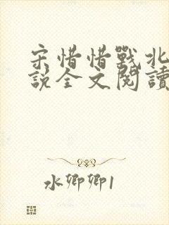 宋惜惜战北望小说全文阅读封面