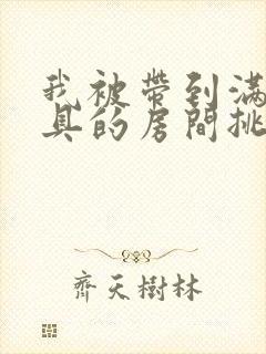 我被带到满是玩具的房间挑调作文