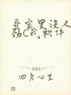 哥家里没人使点劲C我软件