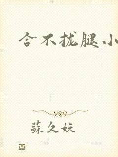 合不拢腿小说封面