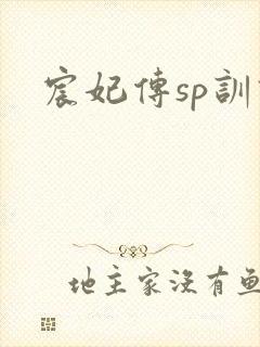 宸妃传sp训诫