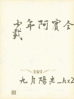 少年阿宾全集下载