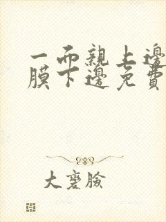 一面亲上边一面膜下边免费阅读封面