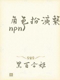 角色扮演系统(npn)