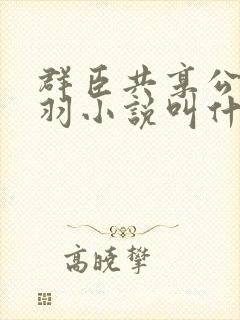 群臣共享公主银羽小说叫什么封面