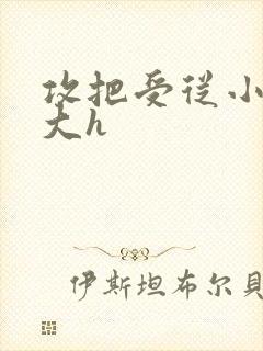 攻把受从小睡到大h封面