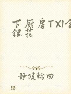 下厨房TXl金银花