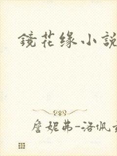 镜花缘小说