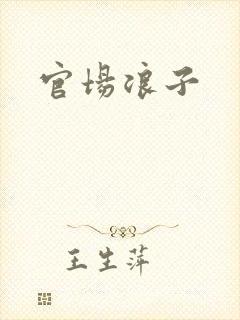 官场浪子
