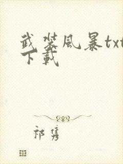 武装风暴txt下载封面