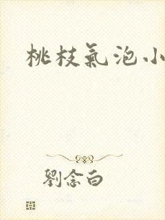 桃枝气泡小说