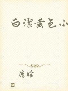 白洁黄色小说