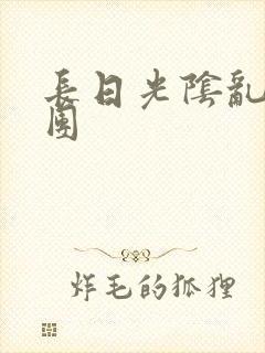 长日光阴乱做一团封面