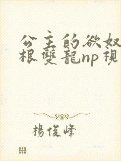 公主的欲奴h四根双龙np视频