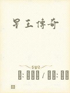 星王传奇