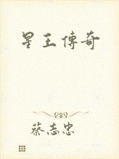 星王传奇