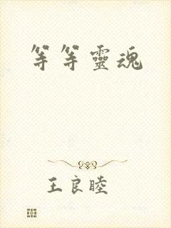 等等灵魂