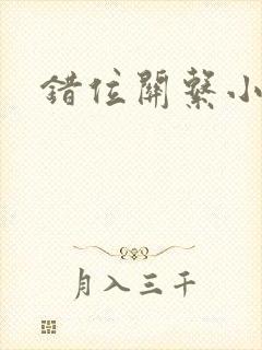 错位关系小说