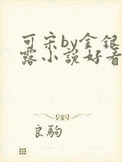 可宋by金银花露小说好看吗
