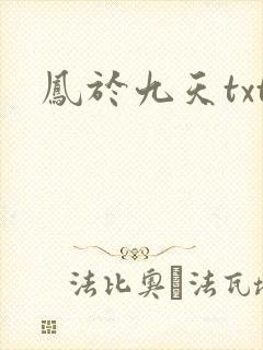 凤于九天txt